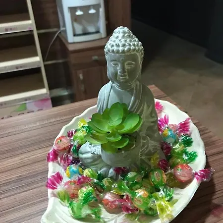 E23 Gardens 3* بوروفتس