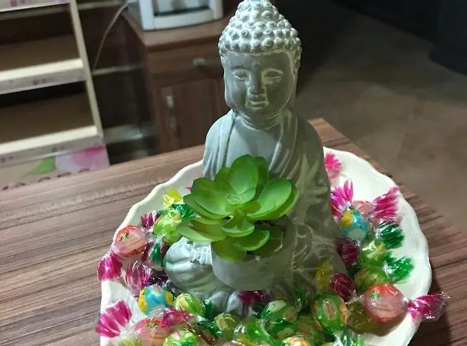 E23 Gardens 3* Borowec